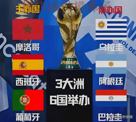 世界杯官方信息背景下的世界杯投注平台合集解析与高清直播直播解析