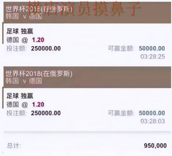 世界杯直播来临,世界杯投注平台推荐稳定性评测与平台选择解析 世界杯直播来临,世界杯投注平台推荐稳定性评测与平台选择解析